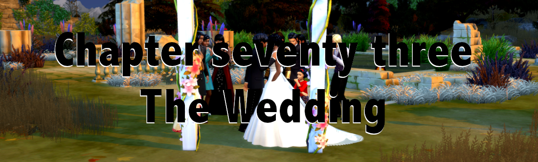 chapter-seventy-three-weddings_1_orig.png